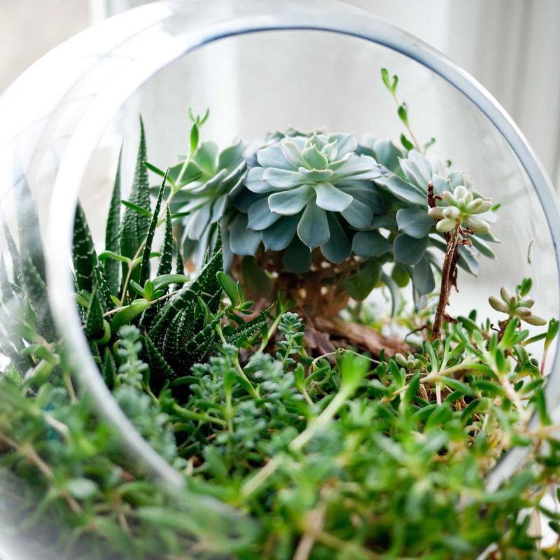 Eco Programming Guide 16